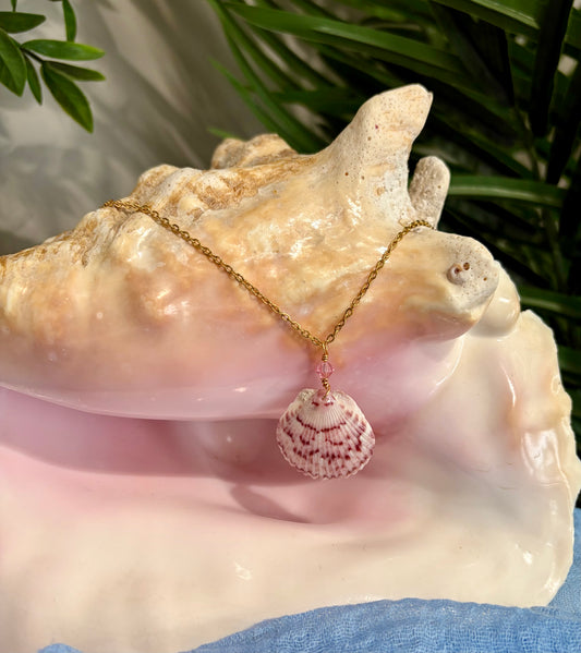Calico Shell Necklace