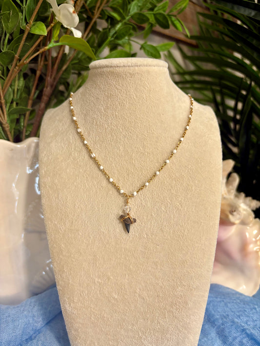 Shark Tooth Necklace