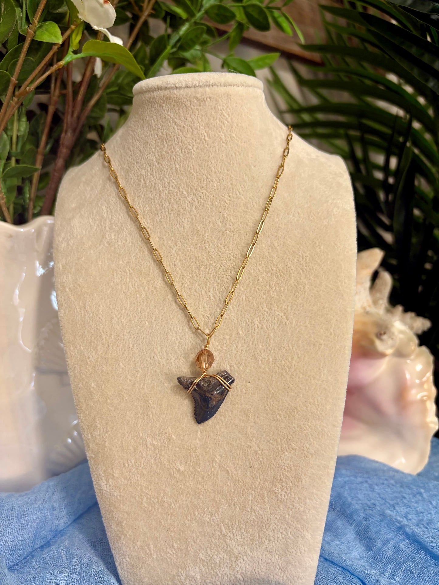 Shark Tooth Necklace