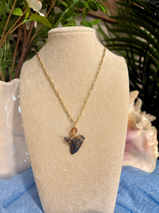 Shark Tooth Necklace