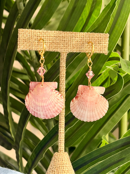 Calico Shell Earrings