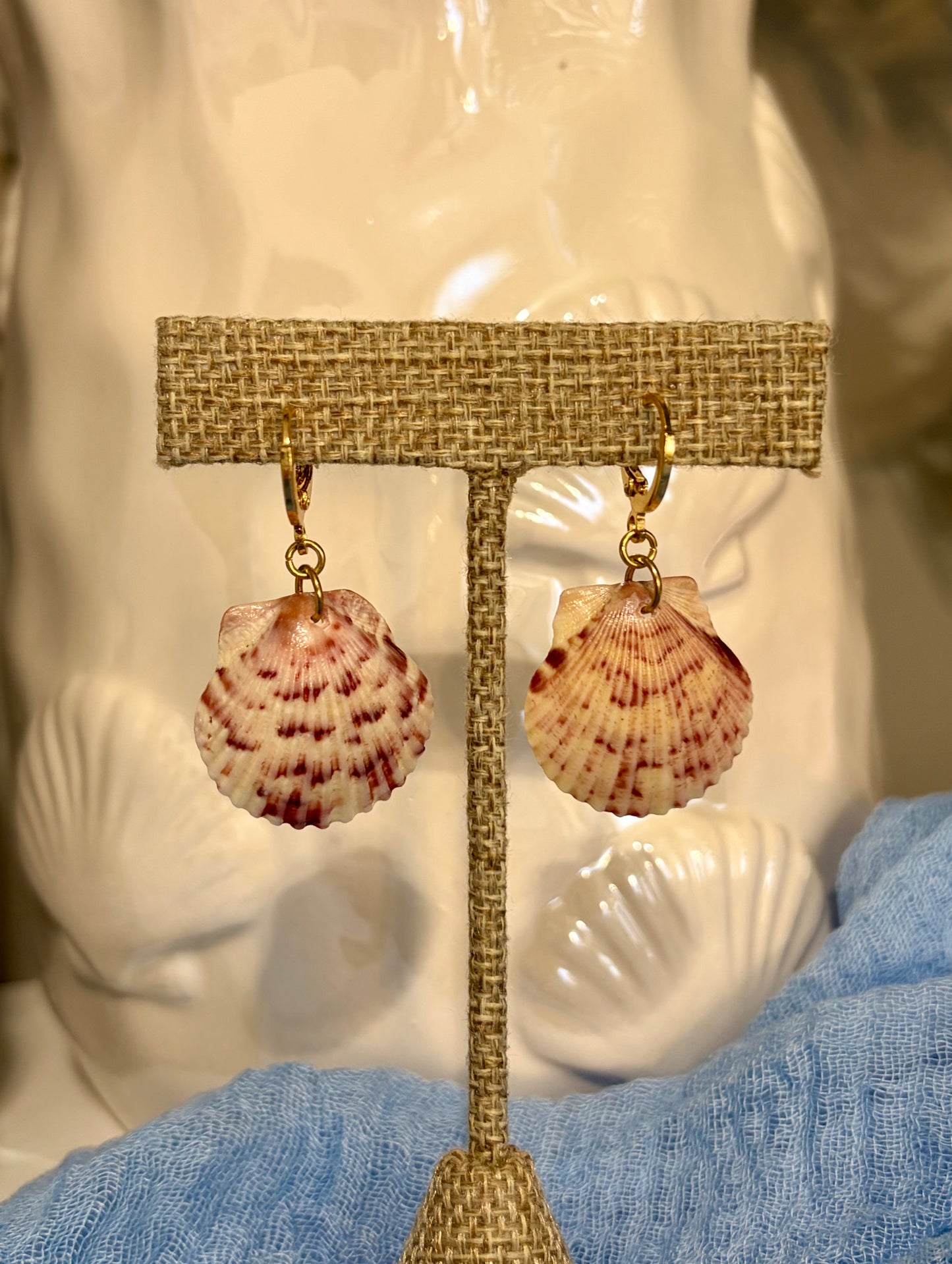 Calico Shell Earrings
