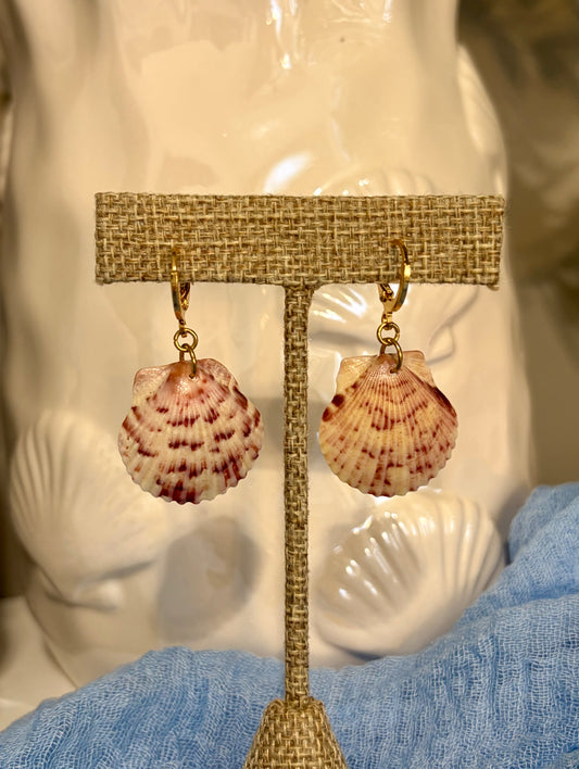Calico Shell Earrings
