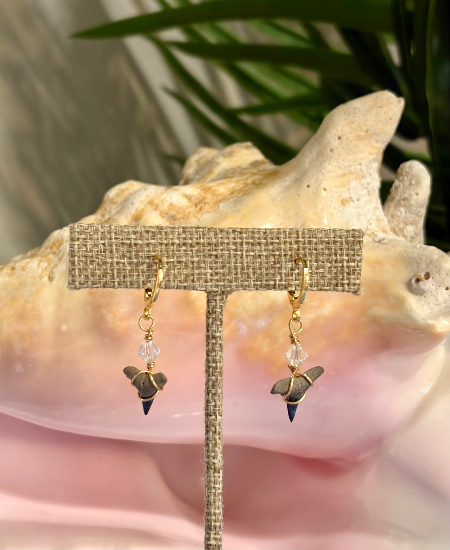 Shark Tooth Earrings