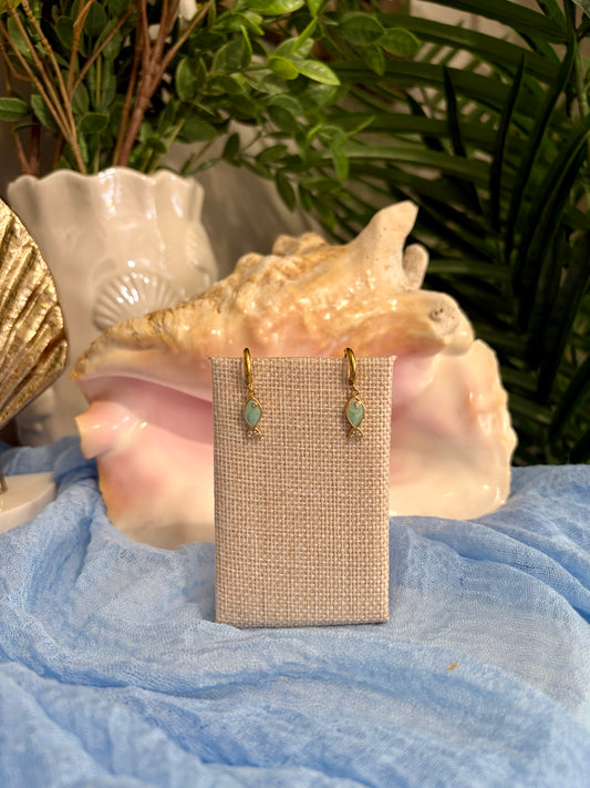 Tiny Fish Earrings