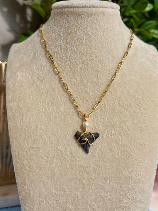 Shark Tooth Necklace