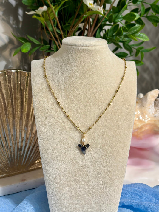 Shark Tooth Necklace
