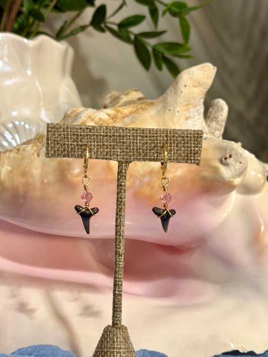 Shark Tooth Earrings