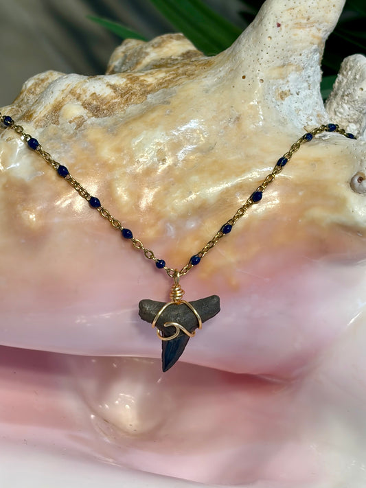 Shark Tooth Necklace