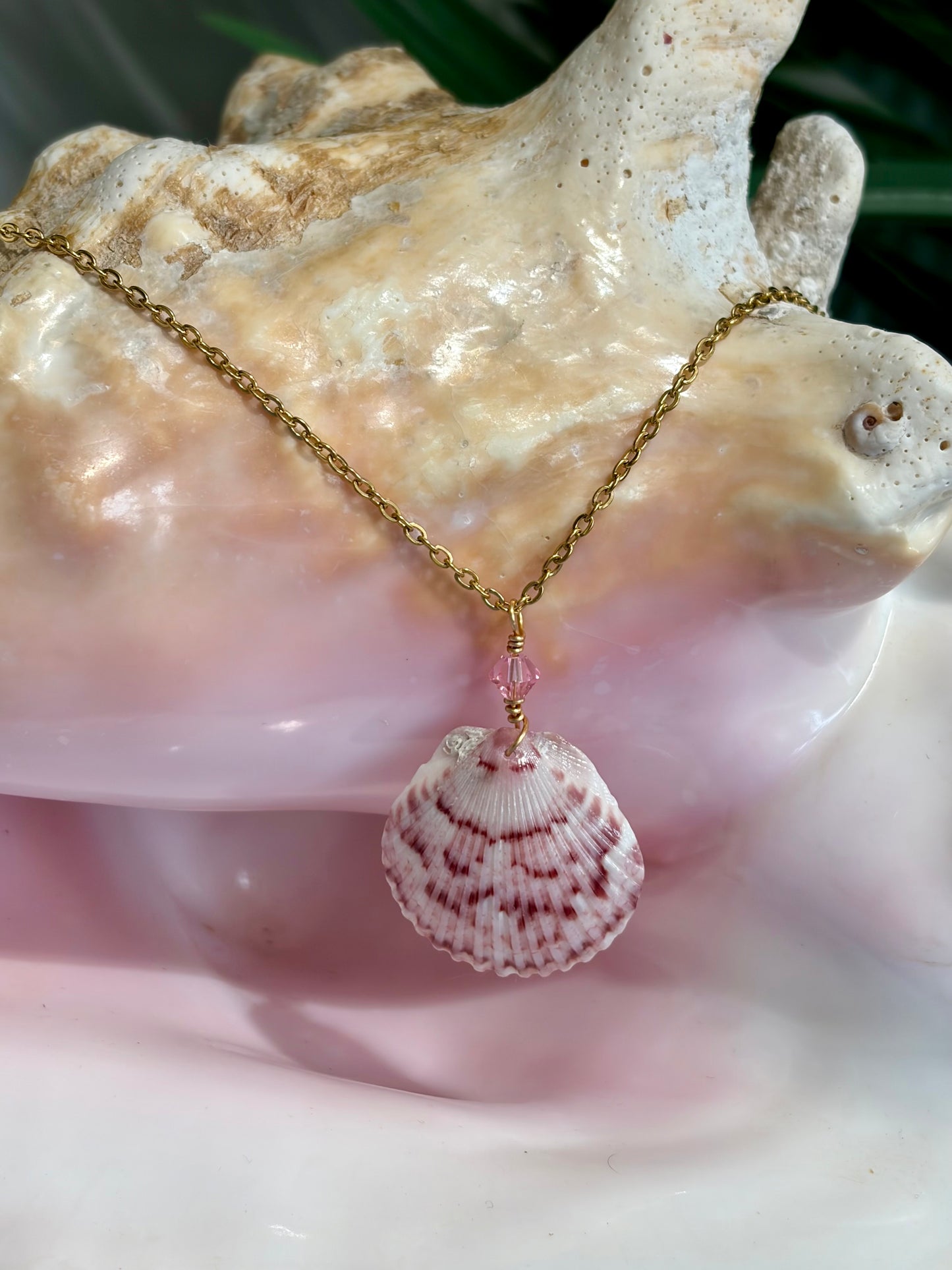 Calico Shell Necklace
