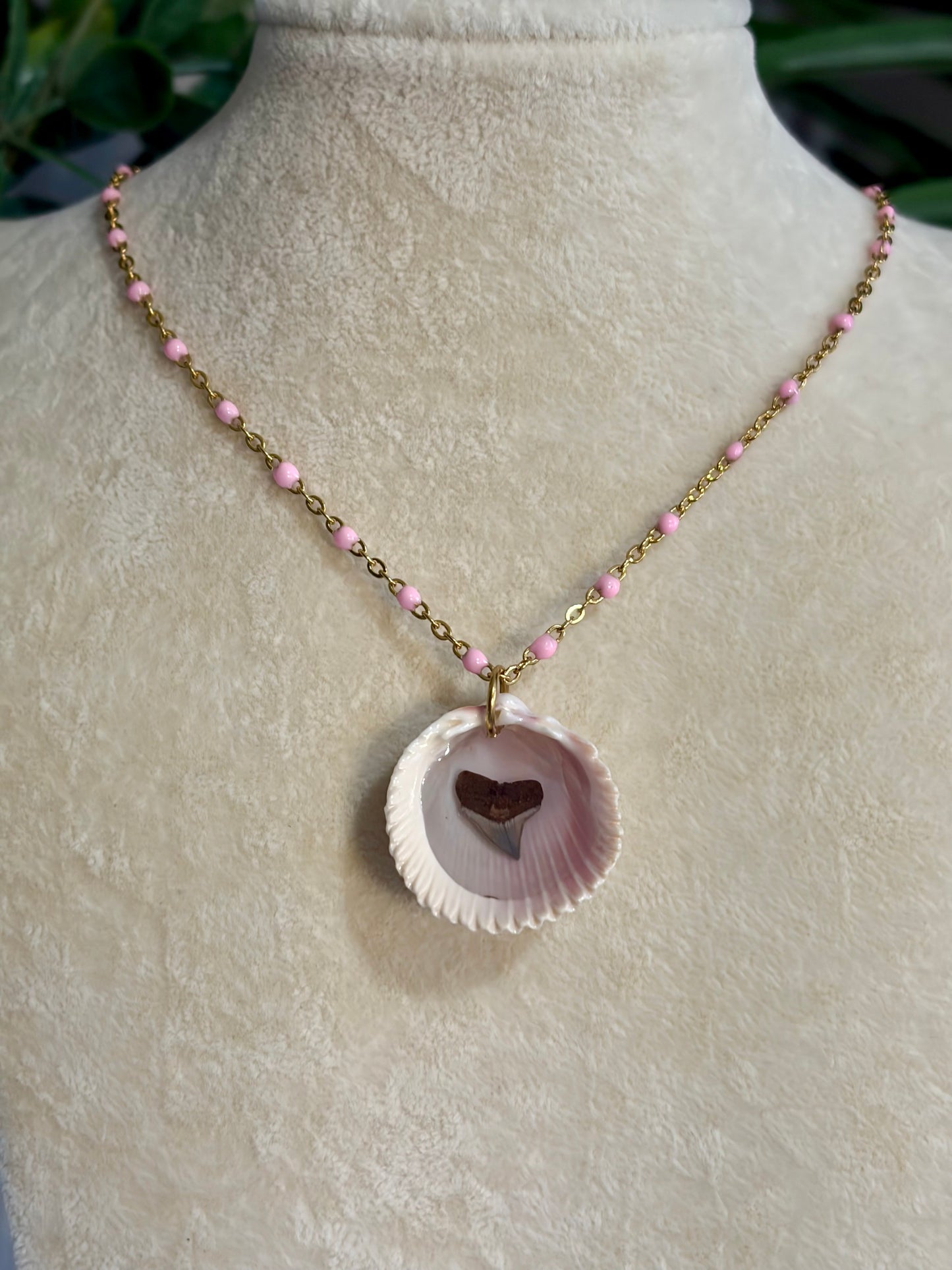 Shell & Shark Tooth Necklace