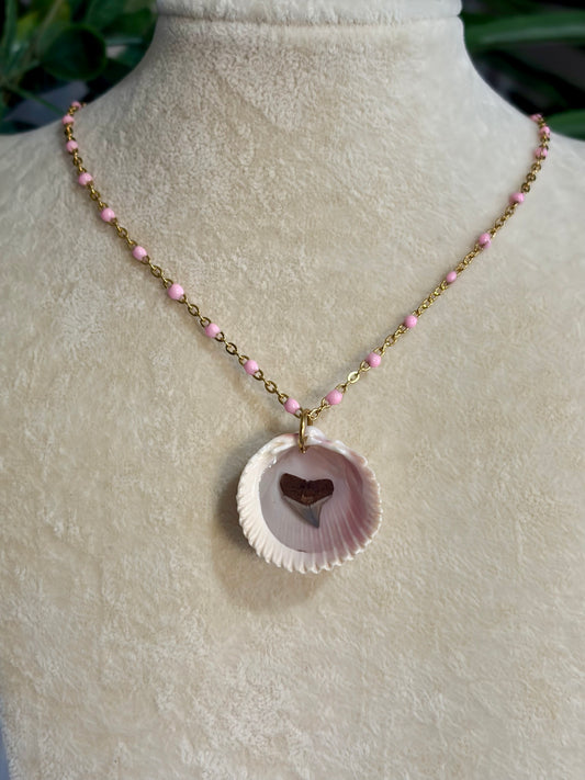 Shell & Shark Tooth Necklace