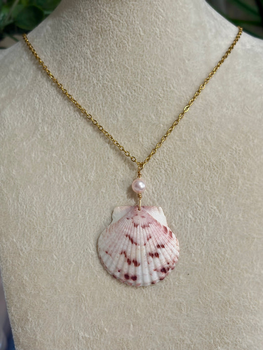 Calico Shell Necklace