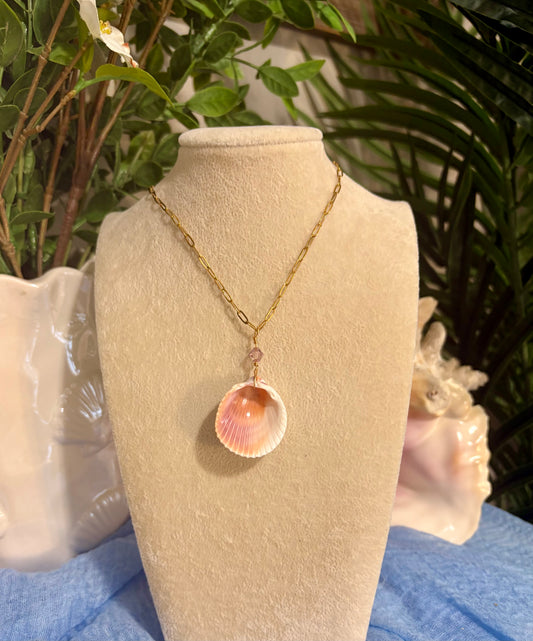 Shell Necklace