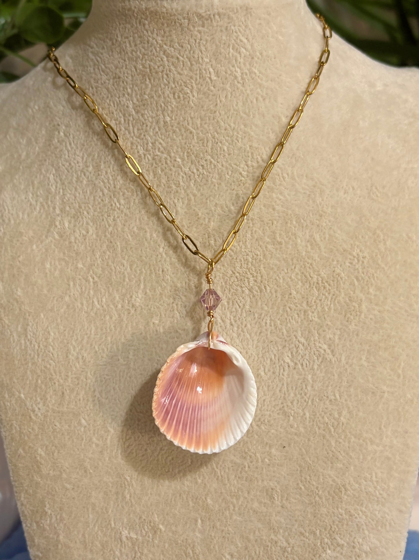 Shell Necklace