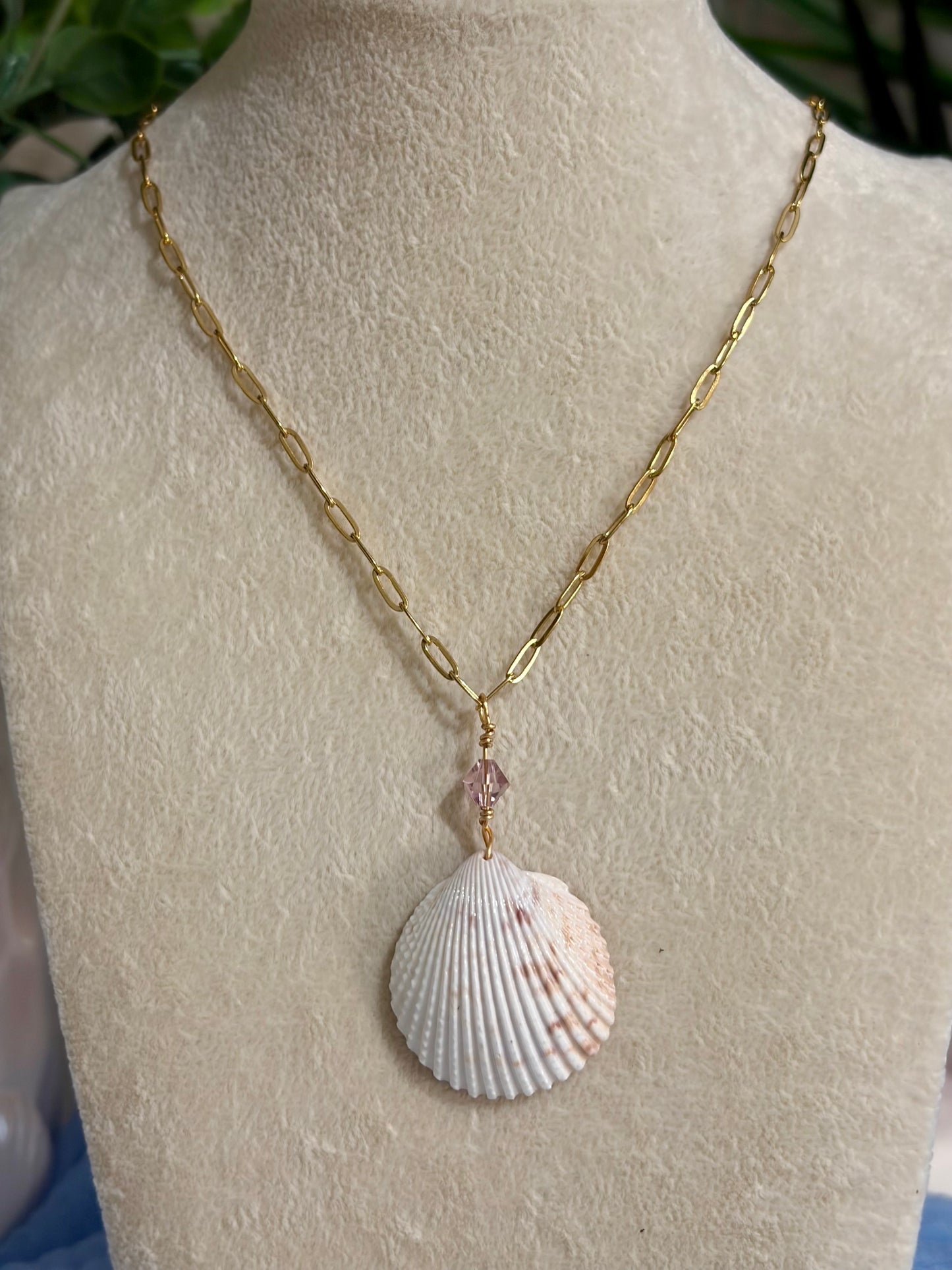 Shell Necklace