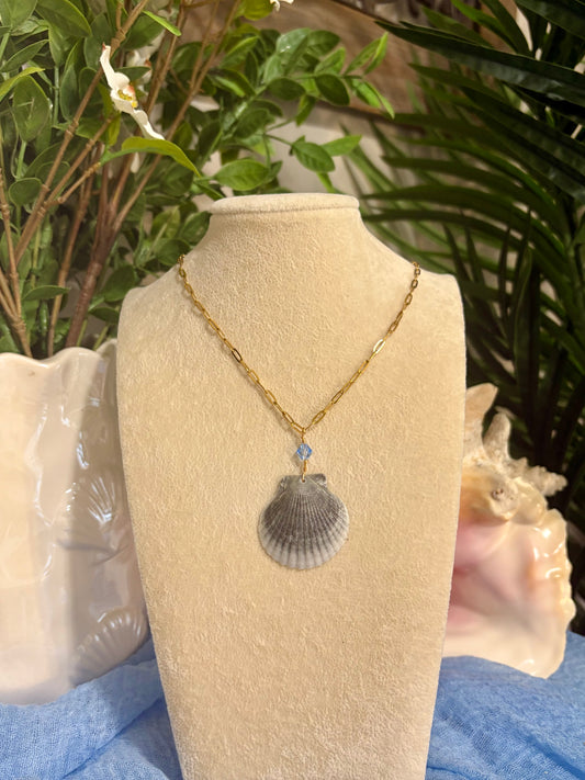 Calico Shell Necklace
