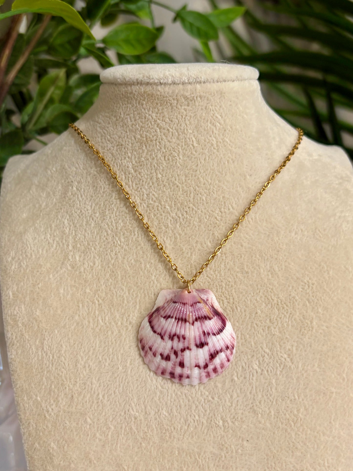 Calico Shell Necklace