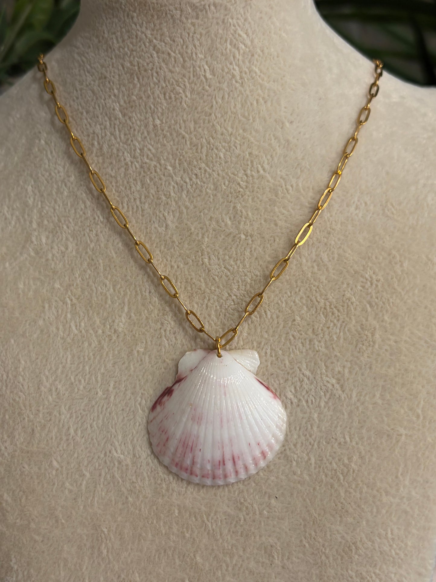 Calico Shell Necklace