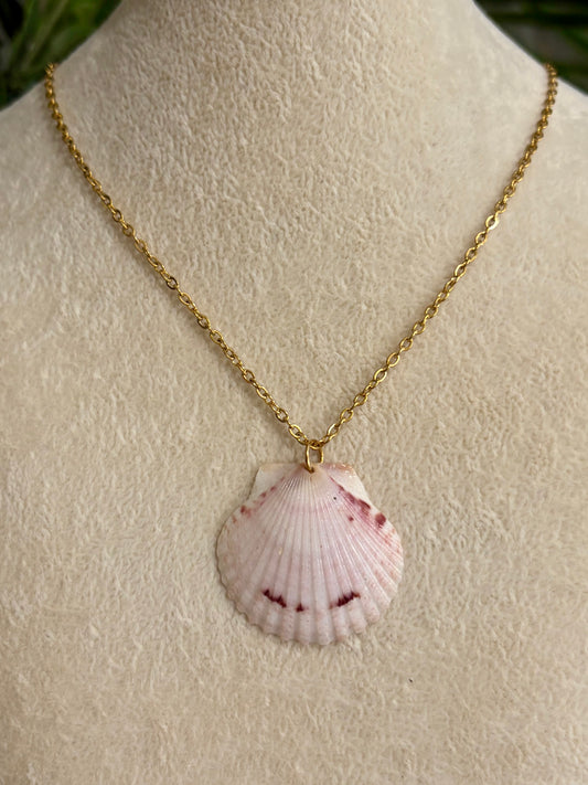 Calico Shell Necklace
