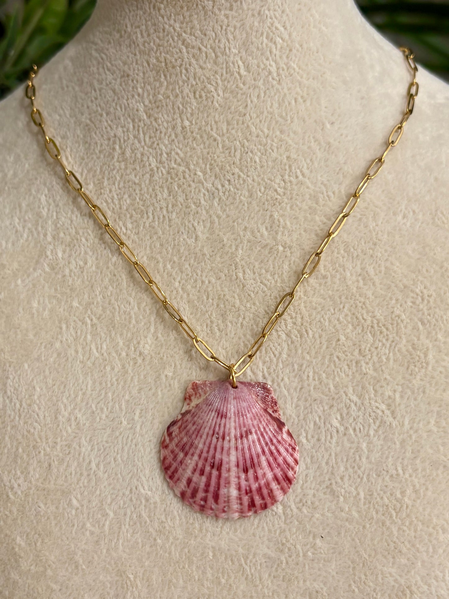 Calico Shell Necklace