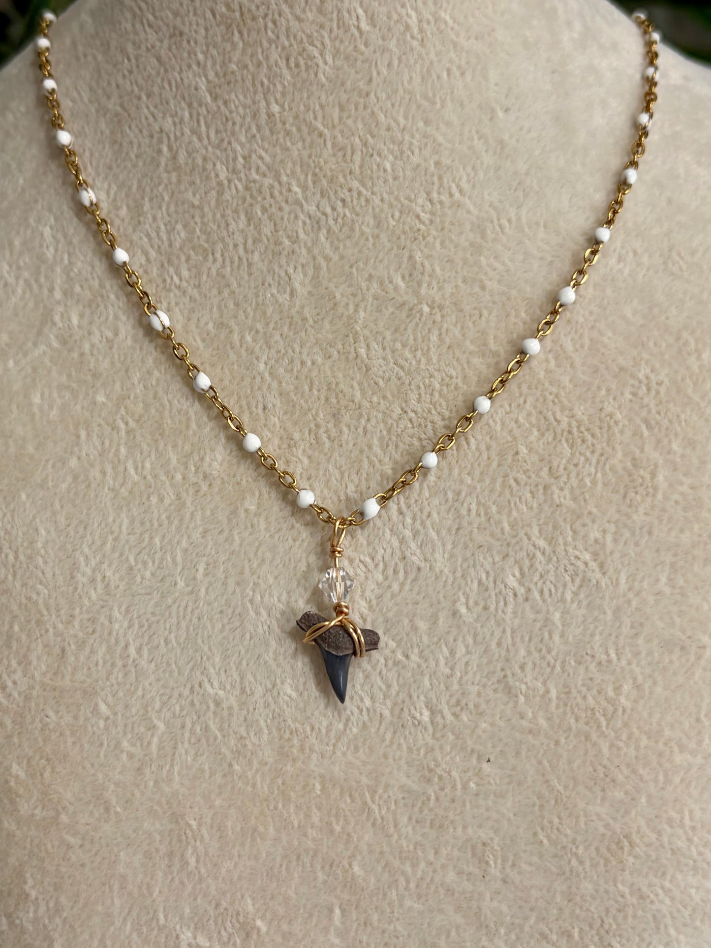 Shark Tooth Necklace