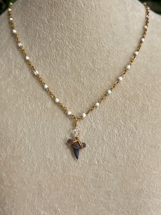 Shark Tooth Necklace