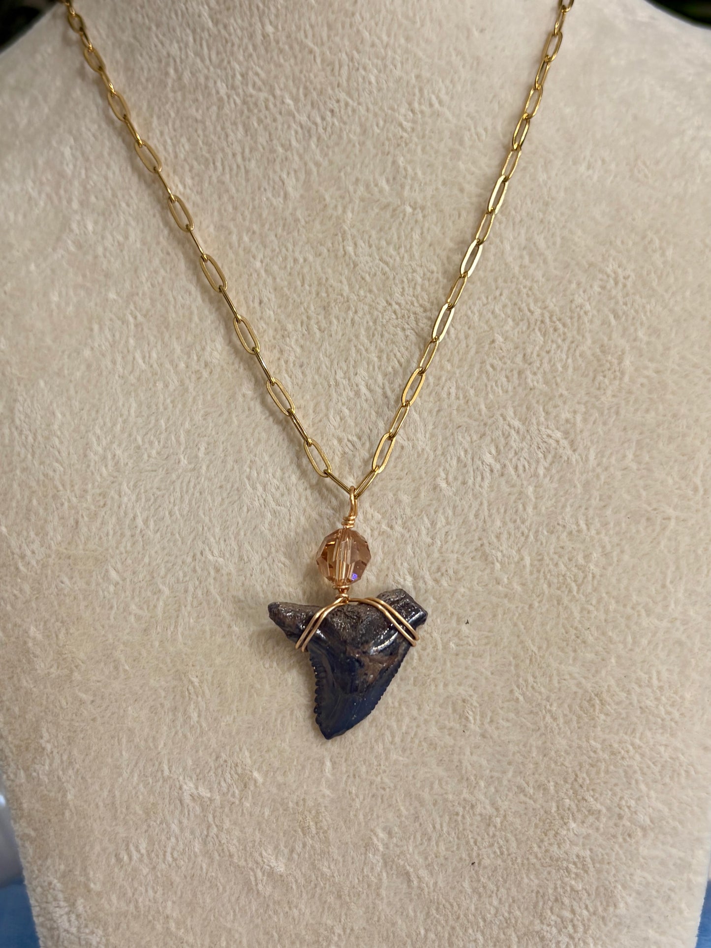 Shark Tooth Necklace