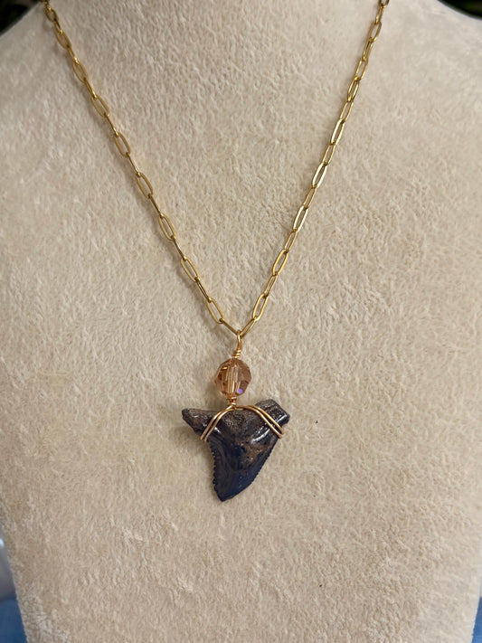 Shark Tooth Necklace
