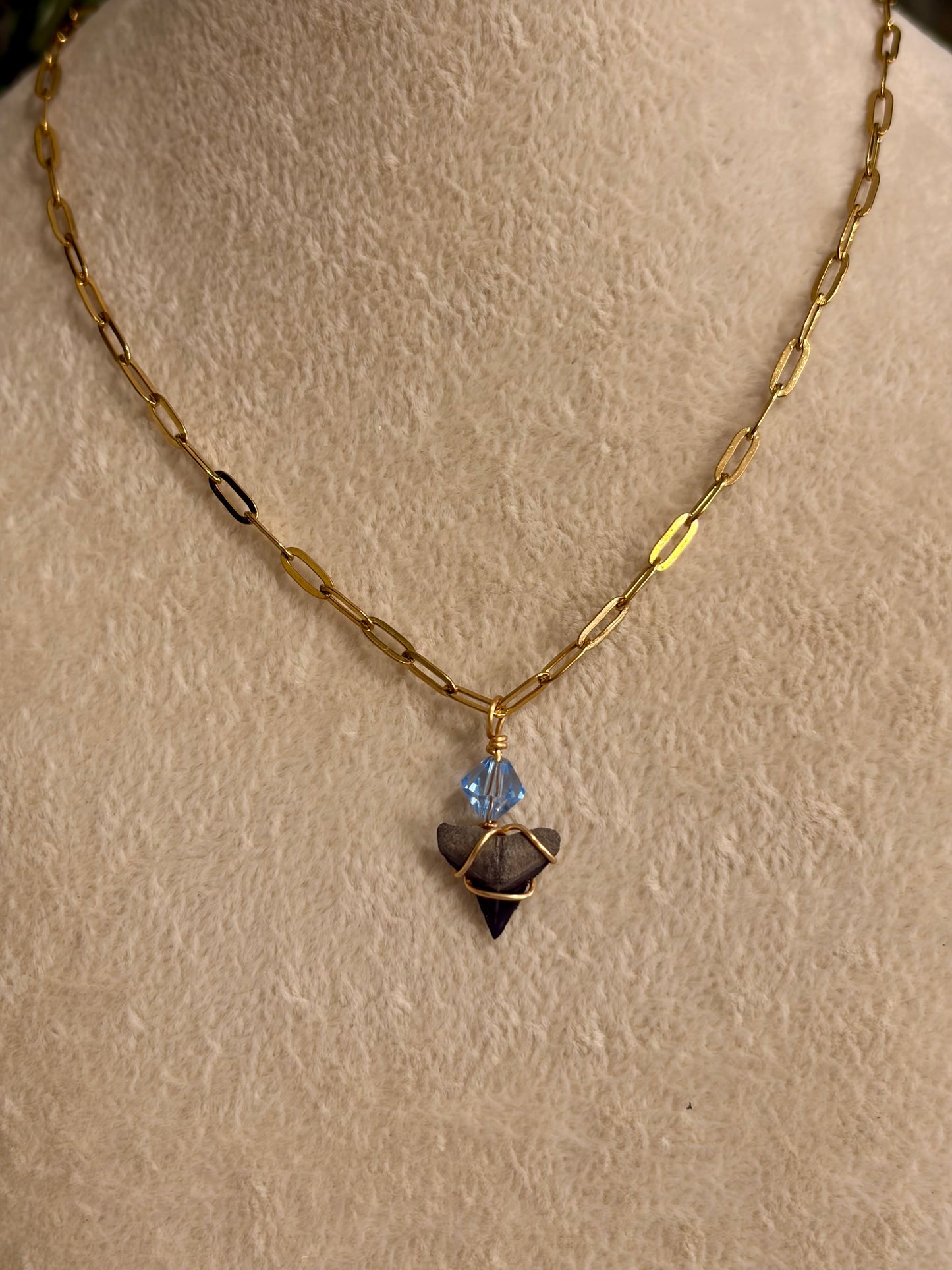 Shark Tooth Necklace