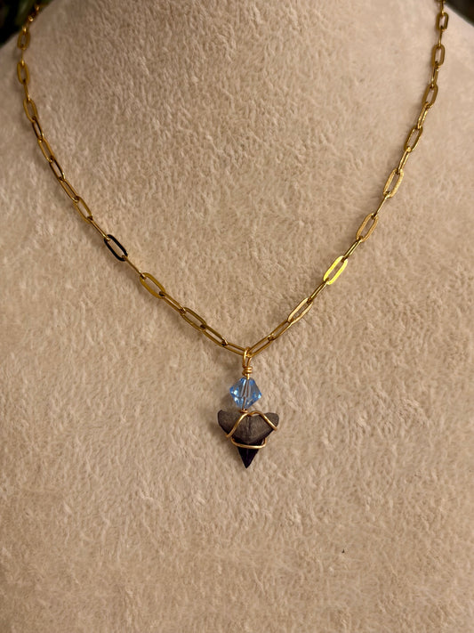 Shark Tooth Necklace