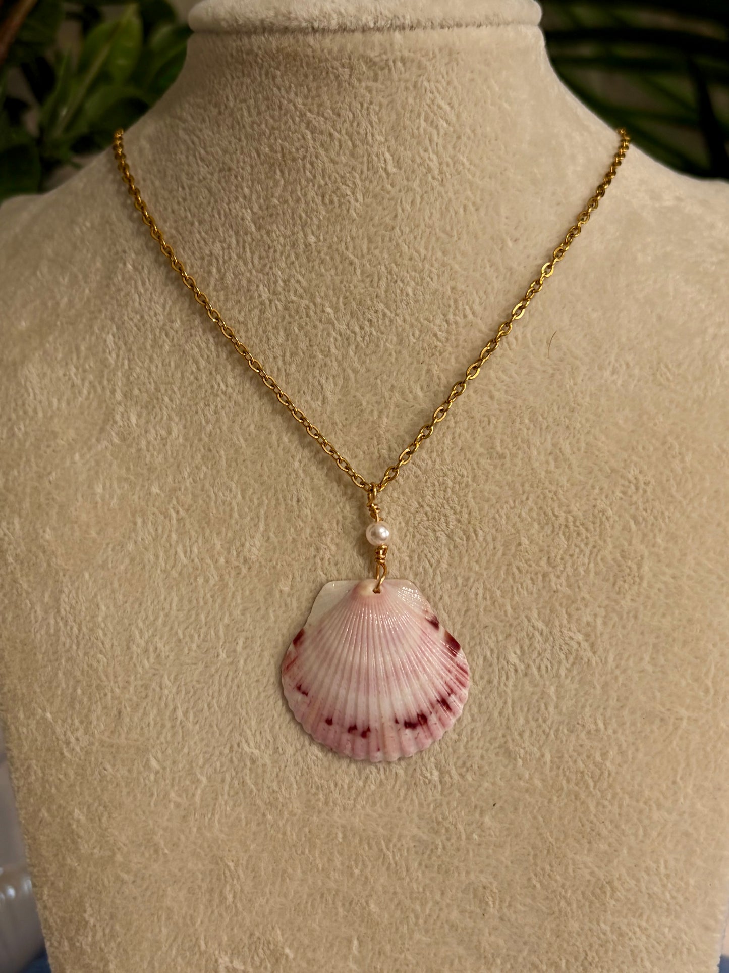 Calico Shell Necklace