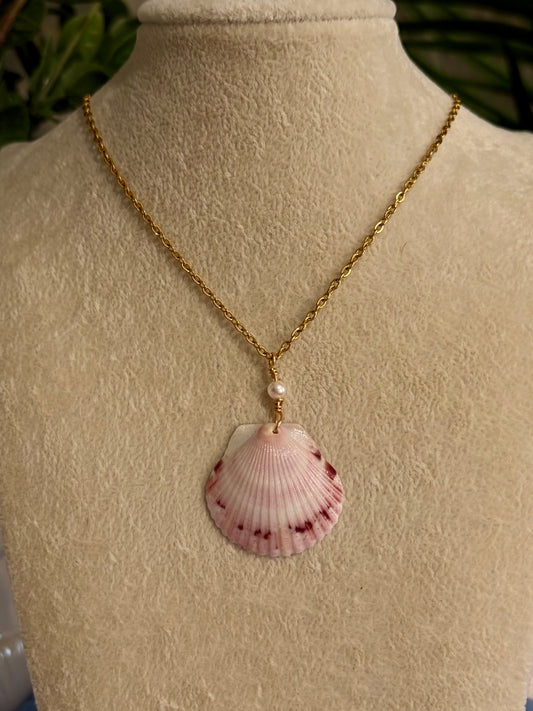 Calico Shell Necklace