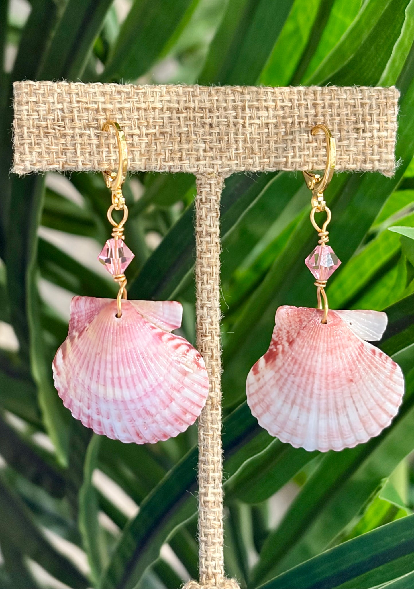 Calico Shell Earrings