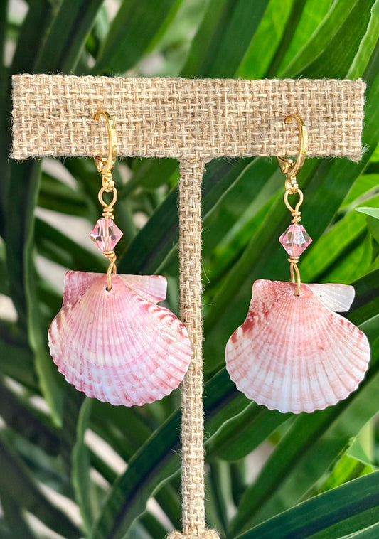 Calico Shell Earrings