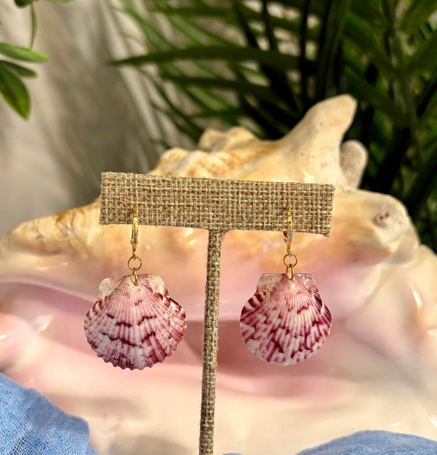 Calico Shell Earrings