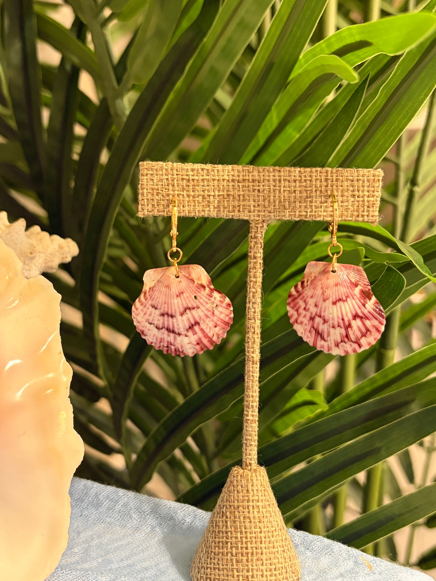 Calico Shell Earrings