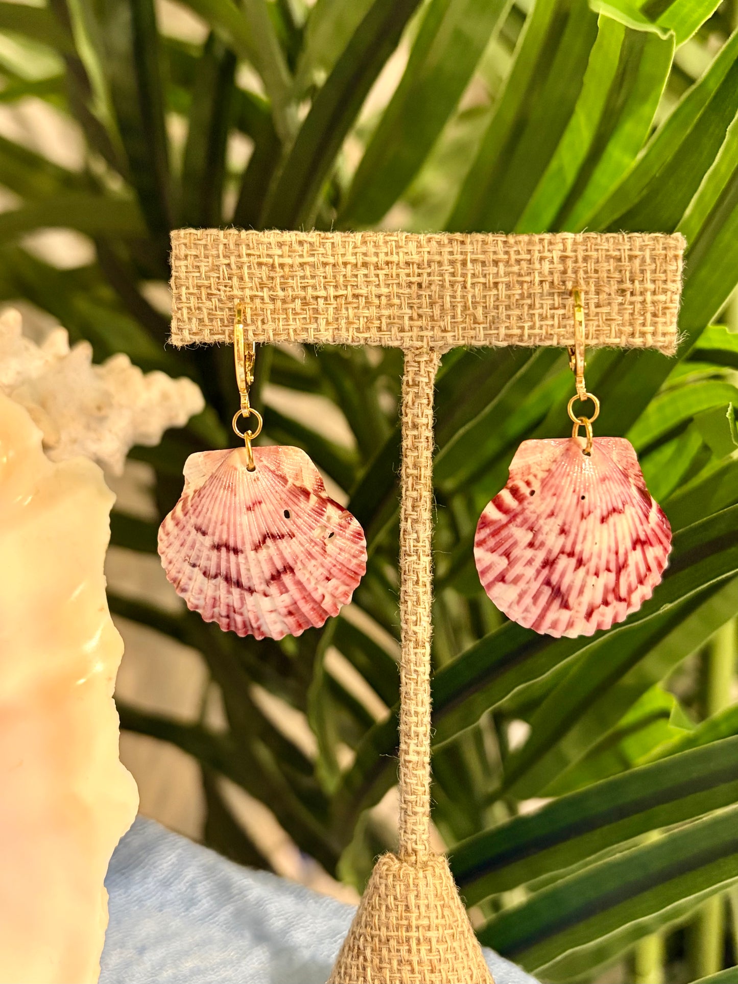 Calico Shell Earrings