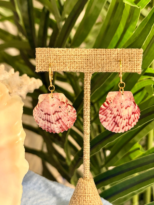 Calico Shell Earrings