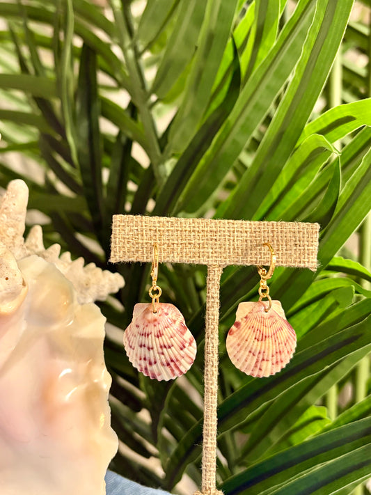 Calico Shell Earrings
