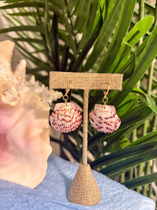 Calico Shell Earrings