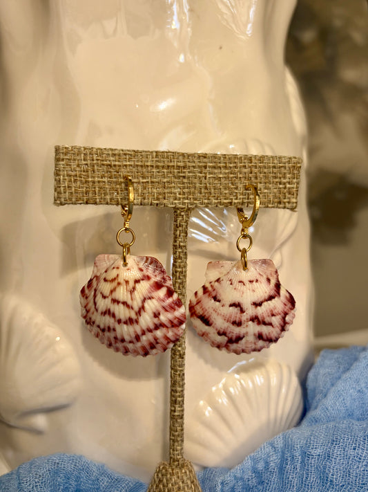 Calico Shell Earrings