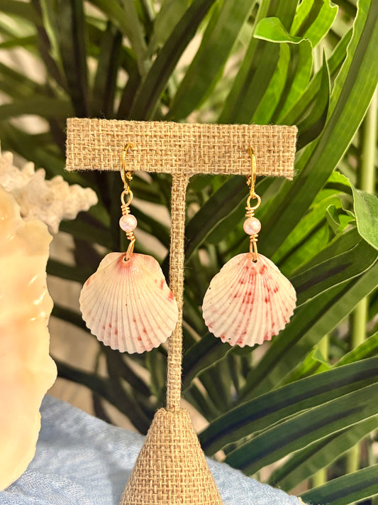 Calico Shell Earrings