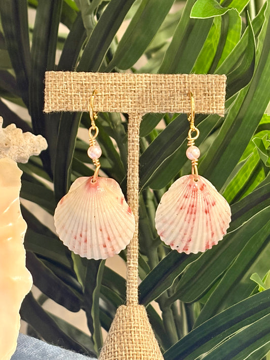 Calico Shell Earrings