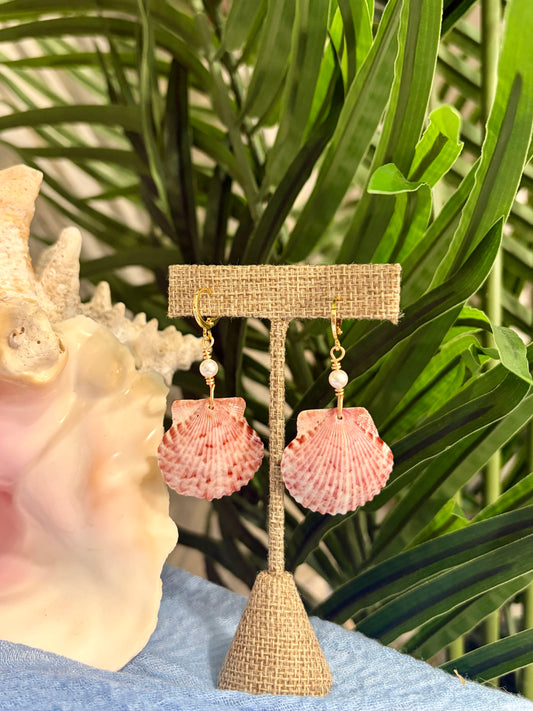Calico Shell Earrings