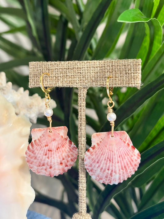 Calico Shell Earrings