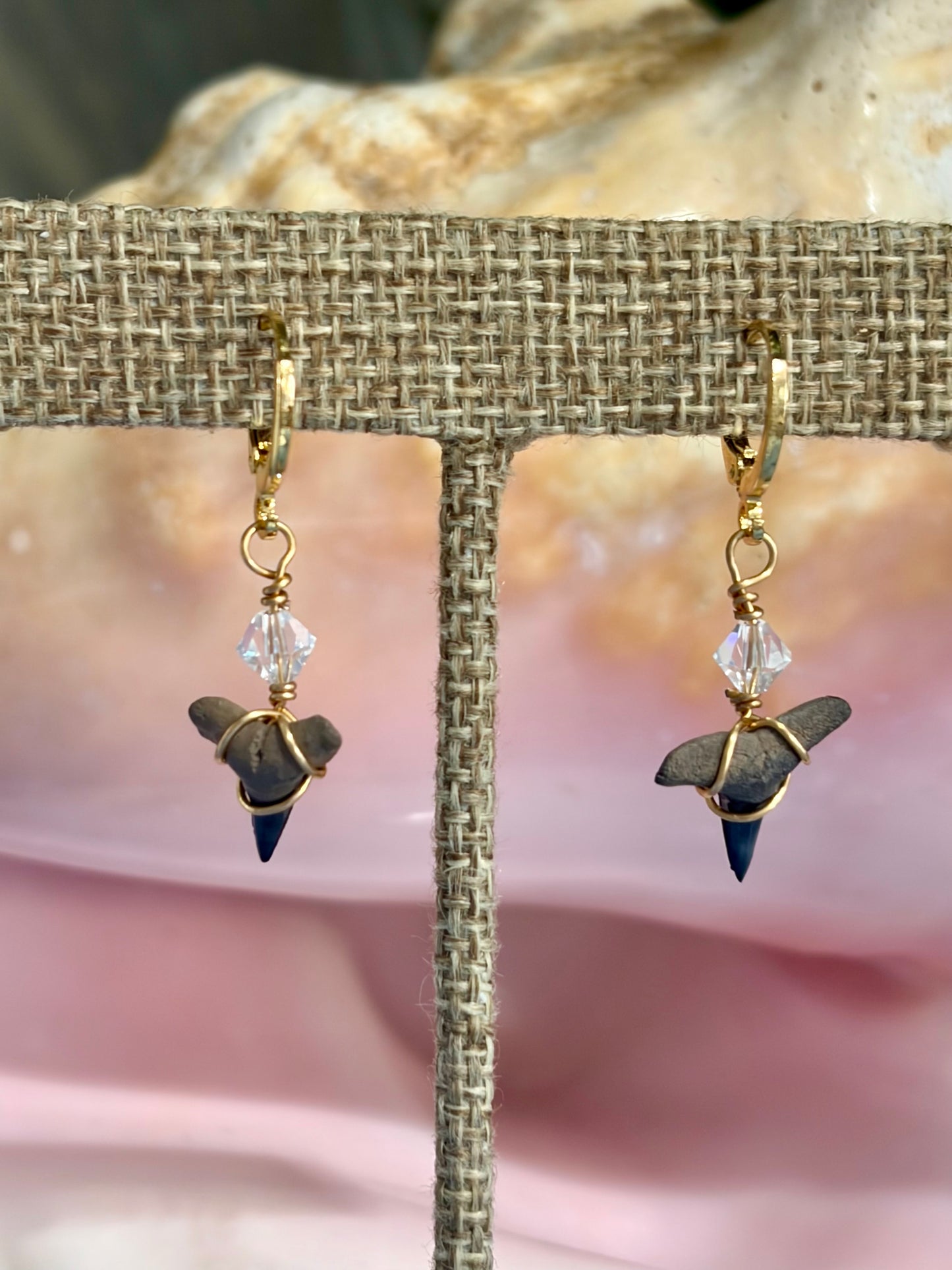 Shark Tooth Earrings