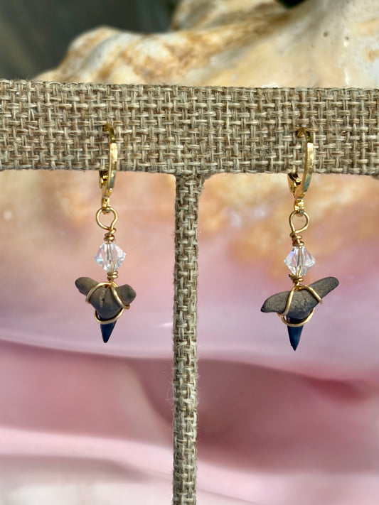 Shark Tooth Earrings