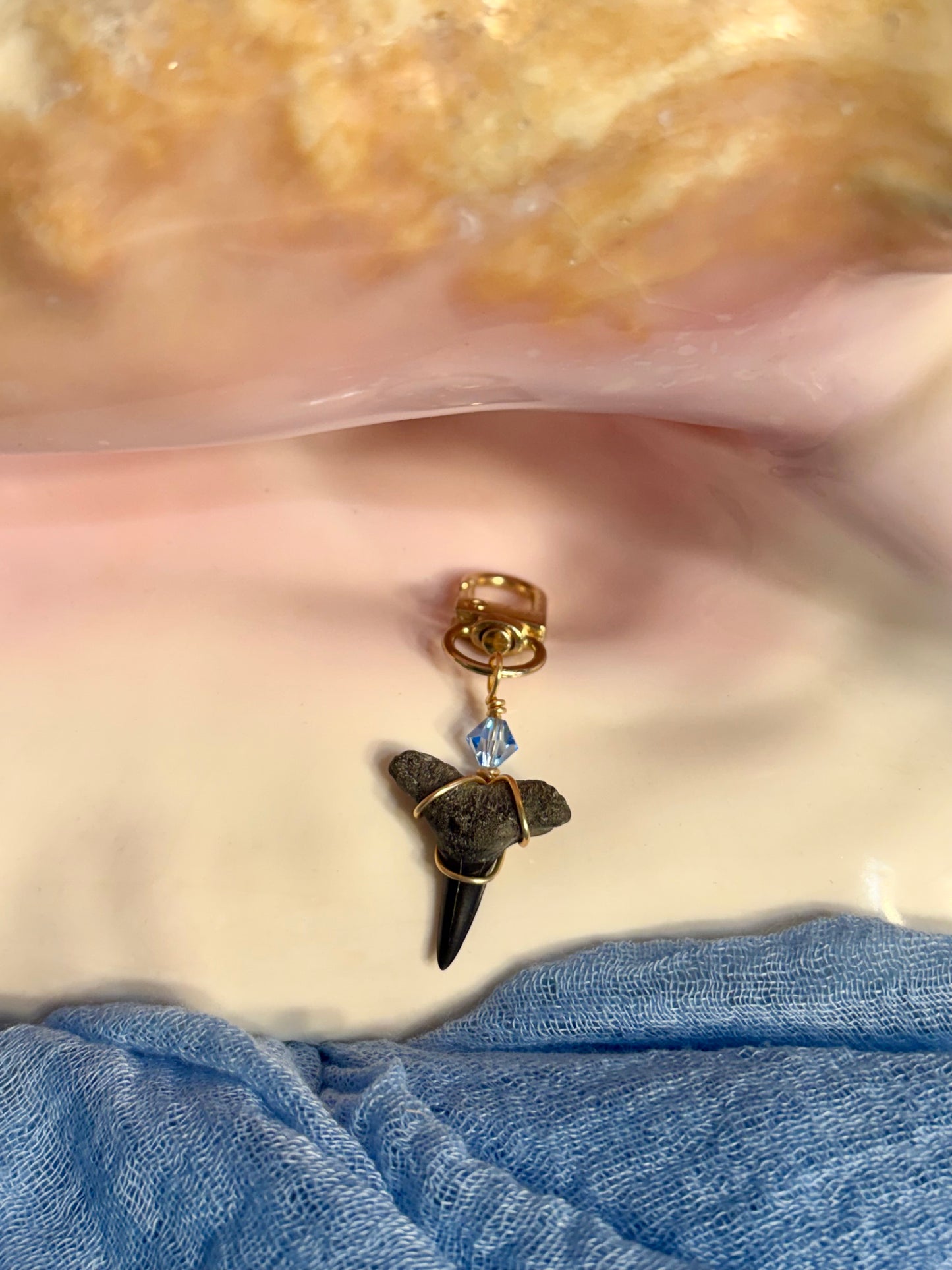 Shark Tooth Bag Charm/Keychain