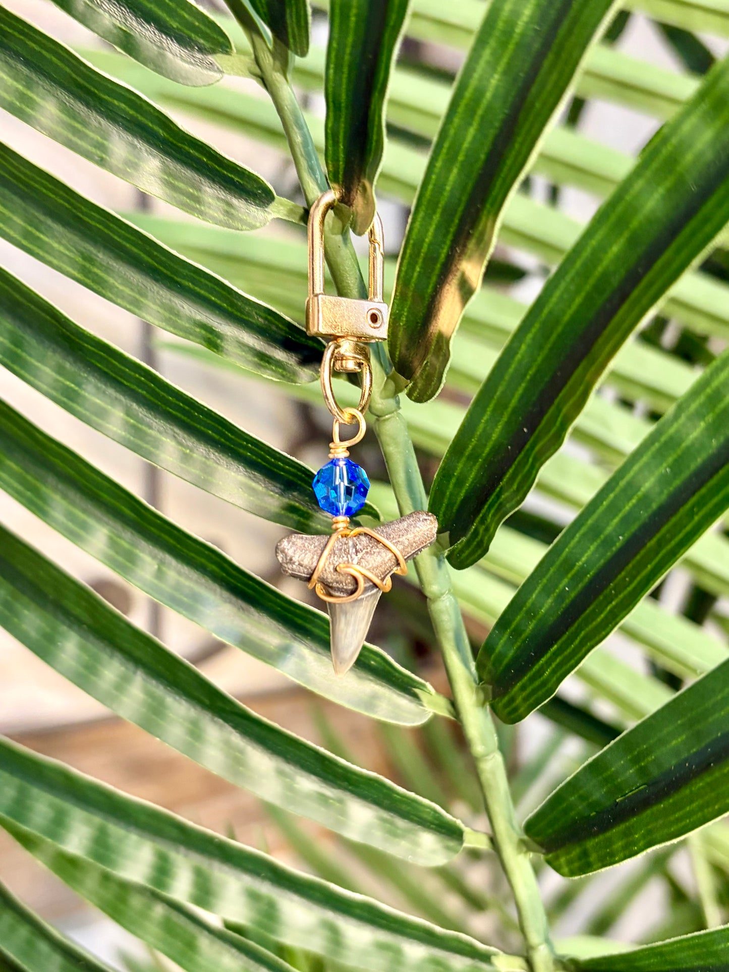 Shark Tooth Bag Charm/Keychain